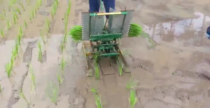 Transplanter Padi 01.mp4