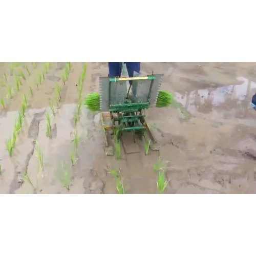 Rice Transplanter 01.mp4