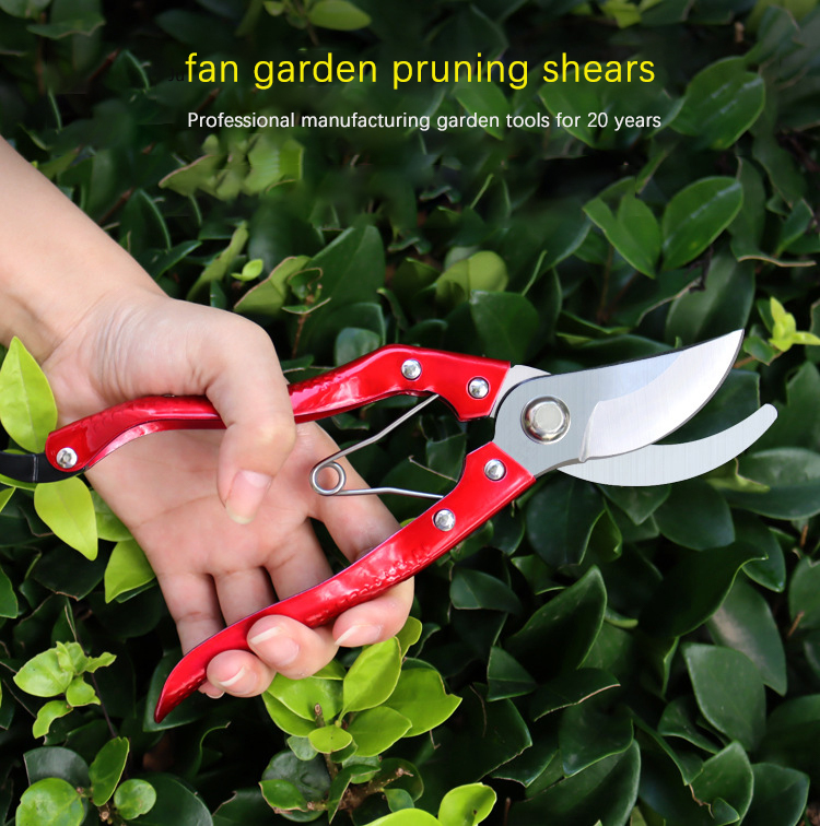 Alat kebun khas kilang memotong gunting pokok buah