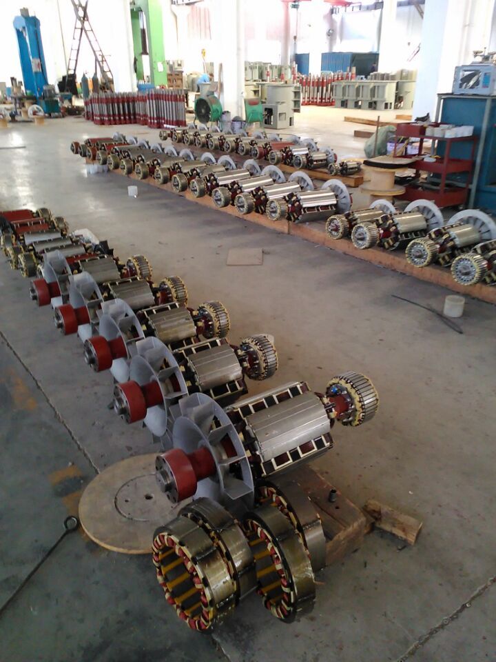 Jiangsu Lingyu Generator CO.,LTD