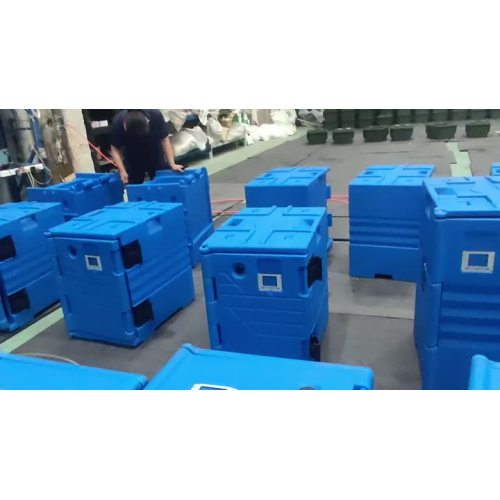 202598Insulted Food Pan Combator Container