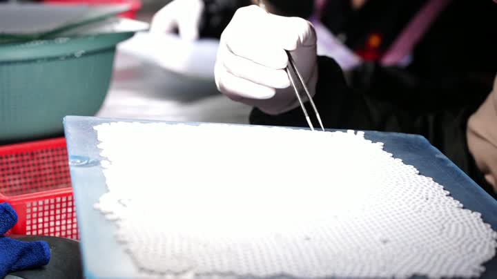 Crack -Erkennungstest für metallisierte Keramik