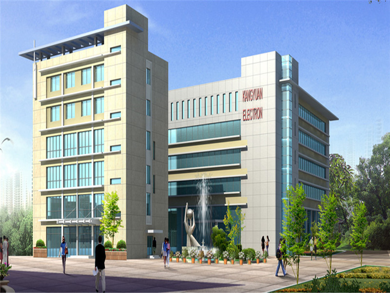 Wenzhou Kangyuan Electronics Co Ltd