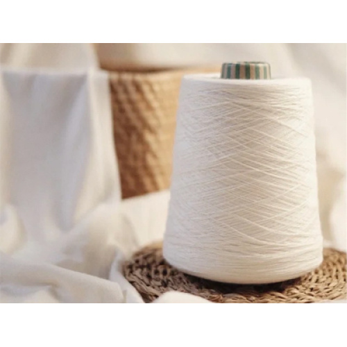 Ngành công nghiệp sợi xoắn nylon 6 toàn cầu năm 2026 phát triển ổn định: Nâng cấp chất lượng, tính bền vững và phát triển thúc đẩy nhu cầu công nghiệp