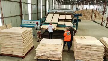 wood veneer dryer
