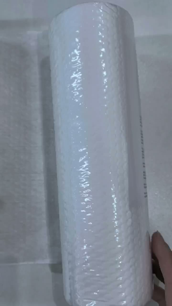 Video de perra perezoso