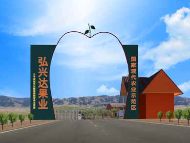 Ningxia hongxingda fruit industry