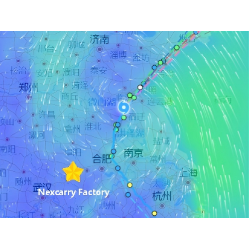 Resiliencia en movimiento: Nexcarry reanuda sus operaciones tras el tifón Bavi