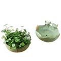 Porcelain Bird Figurine Succulent Planter - Indoor Ceramic Bonsai Pot1