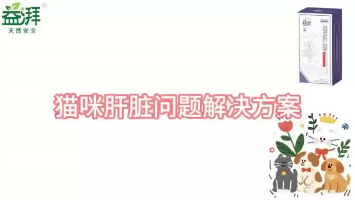 Suplementos hepáticos para mascotas gato