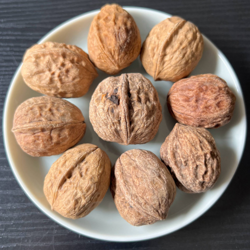 Nueces trituradas