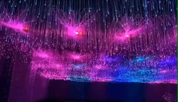 Fiber Optic Curtain