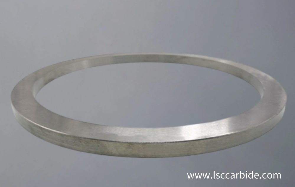 China Best Cemented Carbide Seal Ring Png