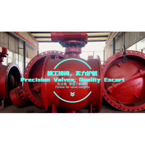 صمام Tanggu رقم 1: حماية التحكم في السوائل