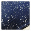Tissu bleu foncé de luxe Rolls en gros Velvet Tissu robe robe de feuille de couture tissu1