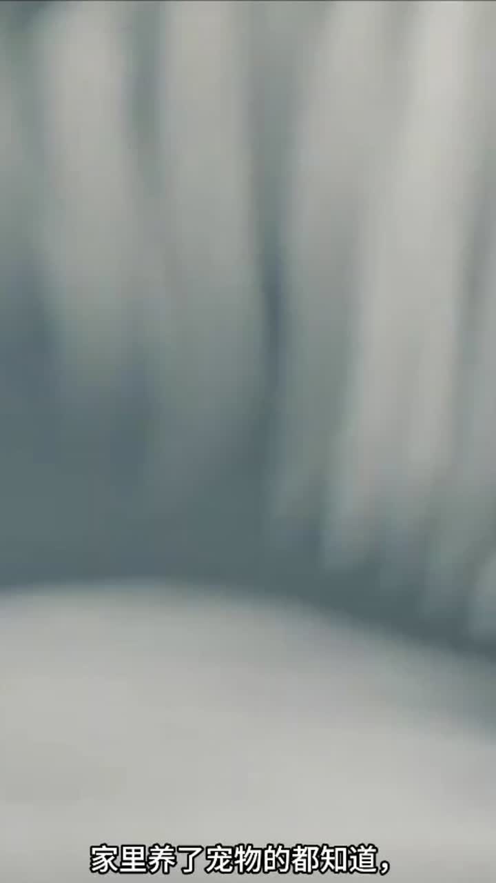 Suplementos nutricionales para el riñón de mascotas Comentarios de los usuarios