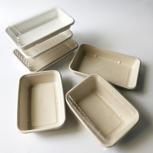 bagasse rectangle tray 10324