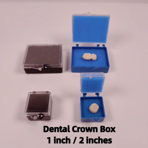 1/2 inches Denture Plastic Box with Foam for Single Crowns Bridge Dental Crown Box Cases1