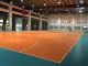 piso profesional de la cancha de balonmano