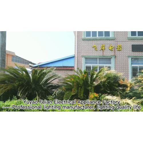 Универсальное видео с подписью