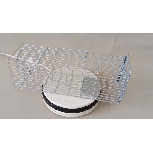 Galvanised Mesh Wire Feral Cat Cage Rodent Cage Trap Single Living Catch Mouse Traps1