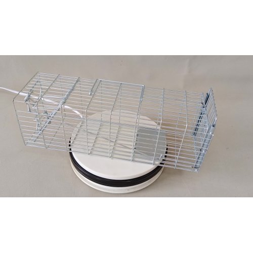 Moda galvanizada CABE FERAL CAGE CAGE CAGE CAGA DE CABA DE CARCE