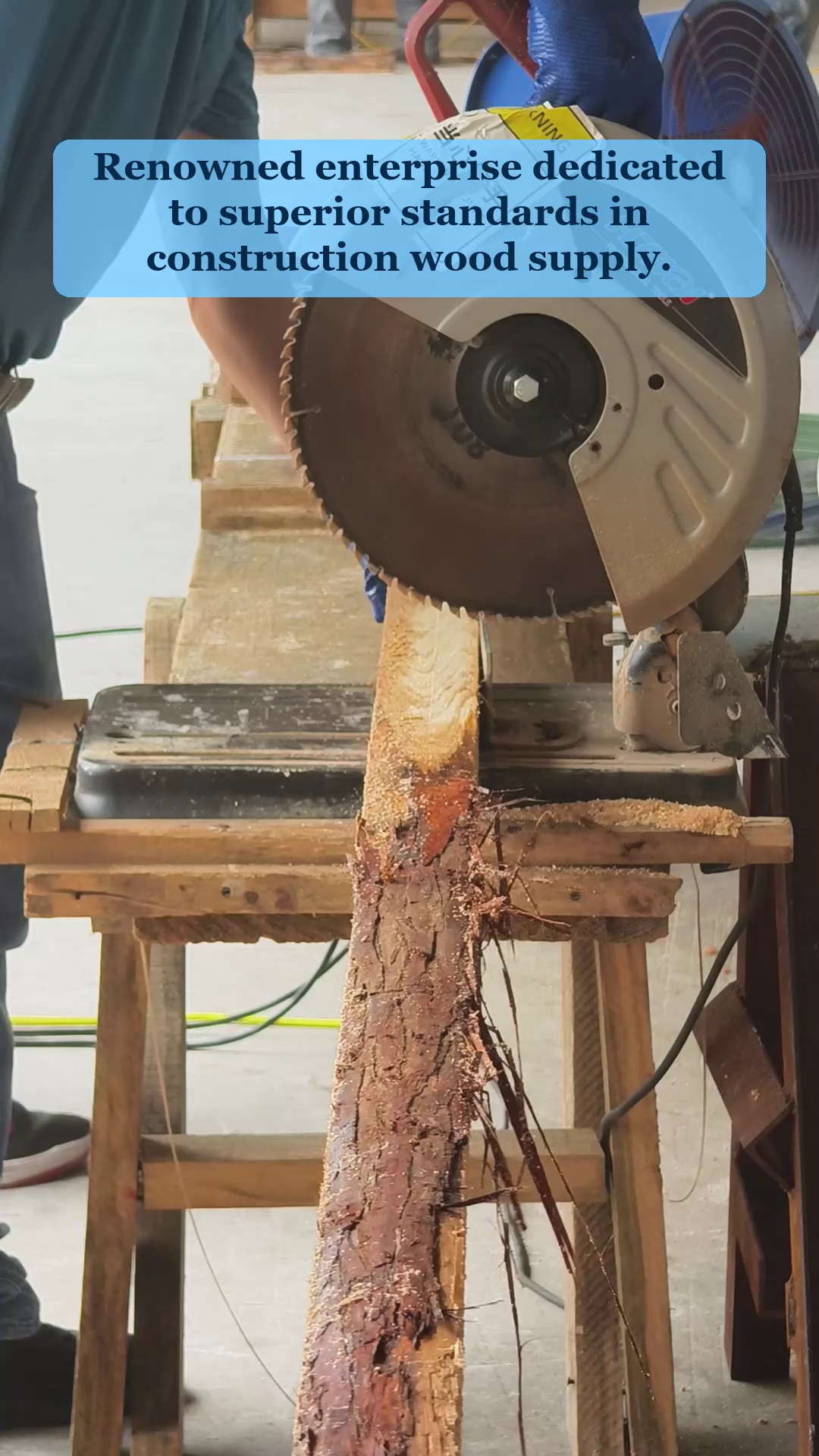 Video 7
