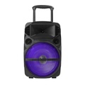 2024 Temeisheng Best Seller 12 Inch Portable DJ System with Bluetooth & Colorful Lights for Party Karaoke1
