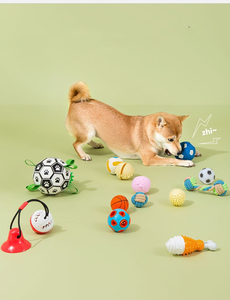 Dog Ball Toy