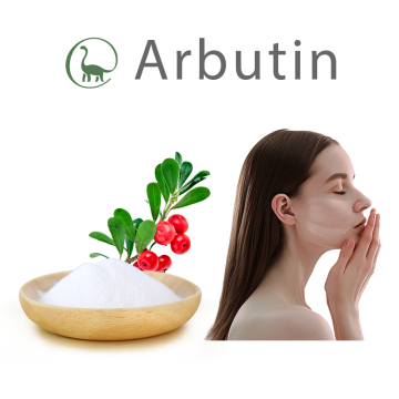 Top 10 Arbutin Powder Manufacturers