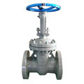 12 Inch Factory Price API WCB Body Hard Seal 300 Pounds Gate Valve1