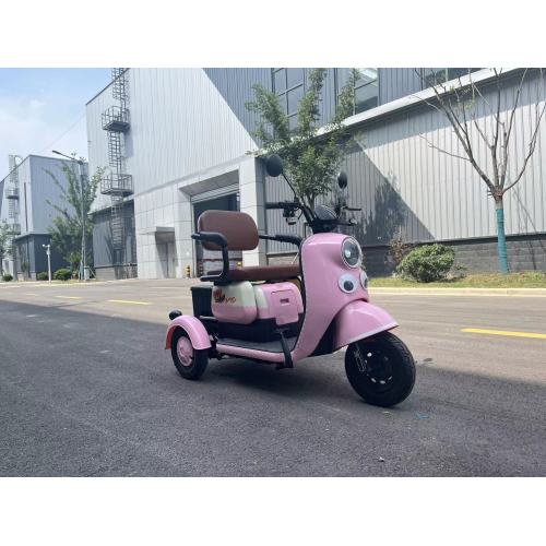 2024  product passenger electric tricycle