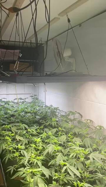 八爪鱼应用视频