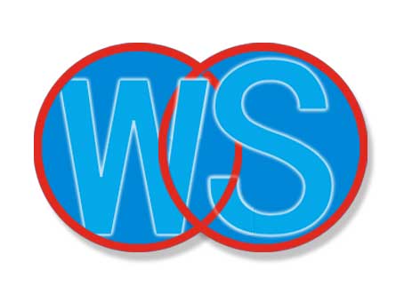 Shenyang Wensheng Instrument and Equipment Co.,Ltd