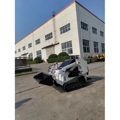 skid steer loader shipping to America clients