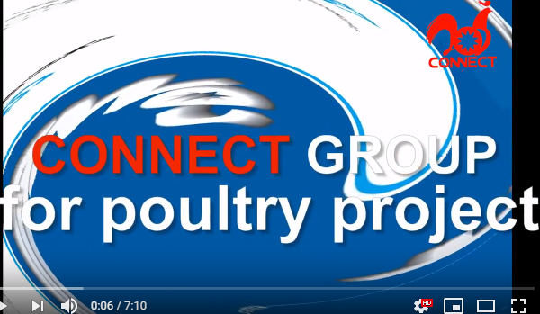 CONNECT poultry processing line