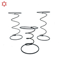 OEM Mini Helicoidal Coil Spring with Factory Price1