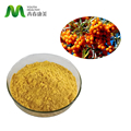 Nagykereskedelmi ár természetes ökológiai fagyasztva szárított Seabuckthorn Power Sea Buckthorn Extract1