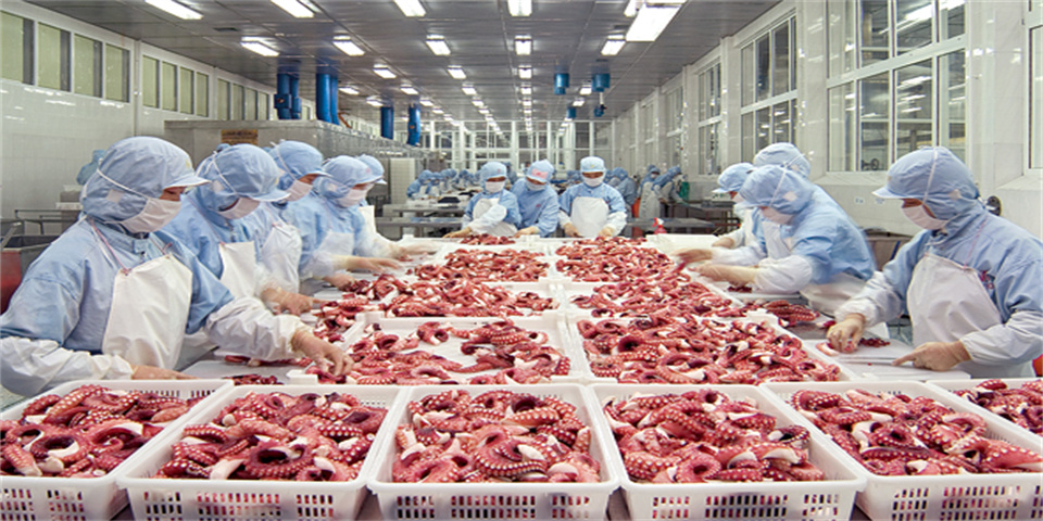 Hairoad food zhejiang co,.LTD