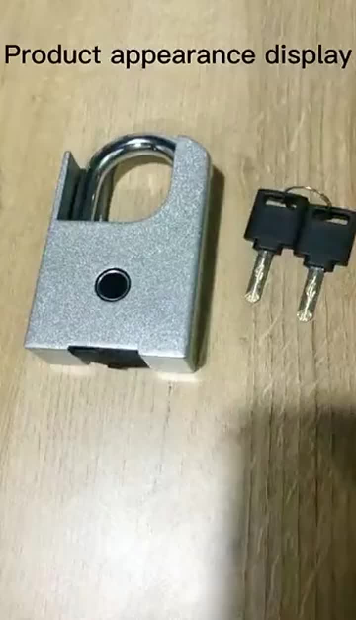 106 fingprint padlock