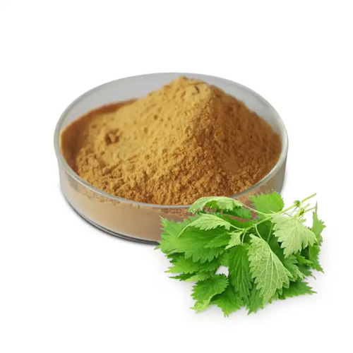 What are the nutritional values of Ashitaba extract?