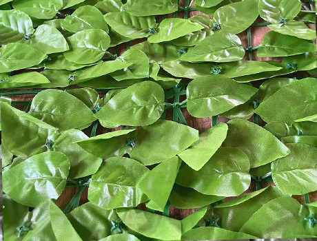 Rooted in Suichang, Huahui Artificial Plants have injected new impetus into the regional economic development