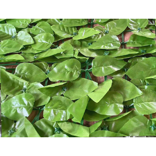 Rooted in Suichang, Huahui Artificial Plants have injected new impetus into the regional economic development