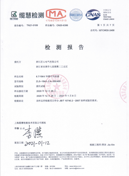Inspection Report