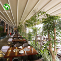 Electric PVC Greenhouse System: YST Outdoor Aluminum Alloy Retractable Roof for Garage and Terrace1