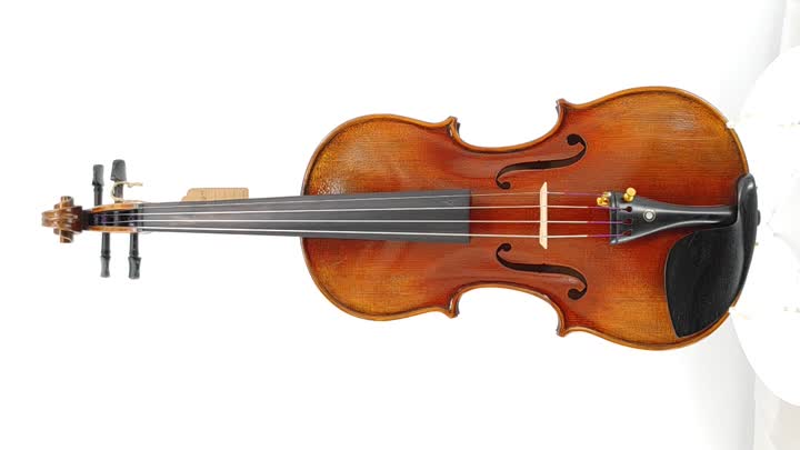 violin-JMB-15