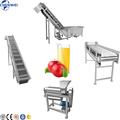 Apple Fruit Juice Drink Hot Filling Production Line1