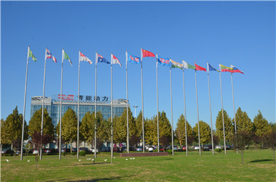 Shandong Qingneng Power Co., Ltd.