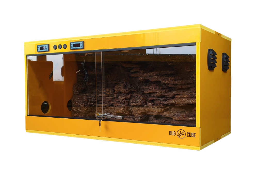 Tanques de répteis de PVC de cor de cor de cor de cor personalizada inteligentes.