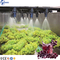 Grape Juice Making Machine - 1t/H Industrial Grape Juice Production Line1